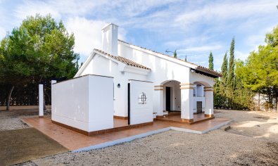 Obra nueva - Villa -
Fuente Álamo - Fuente Alamo