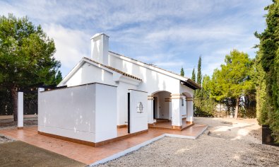 Obra nueva - Villa -
Fuente Álamo - Fuente Alamo