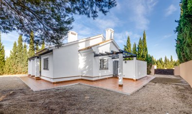 Obra nueva - Villa -
Fuente Álamo - Fuente Alamo