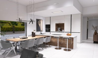 New Build - Villa -
Aspe