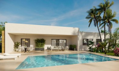 New Build - Villa -
Aspe