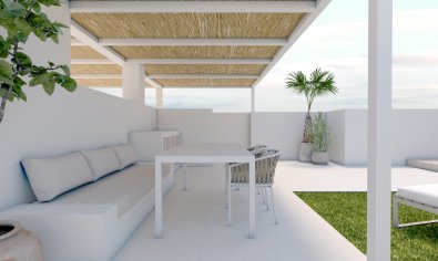 Obra nueva - Bungalow - Solarium -
Torre de la Horadada