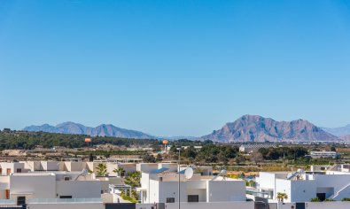 New Build - Apartment - Ground Floor -
Benijofar