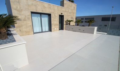 New Build - Villa -
San Miguel de Salinas