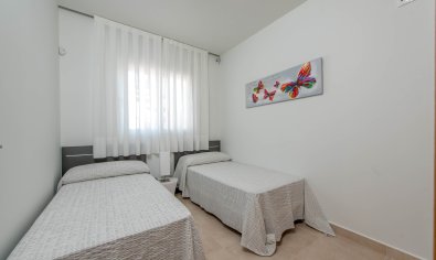 Obra nueva - Villa -
Los Alcazares - Los Alcázares