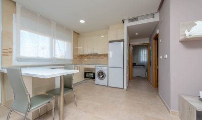 Obra nueva - Villa -
Los Alcazares - Los Alcázares