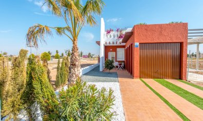 Obra nueva - Villa -
Los Alcazares - Los Alcázares