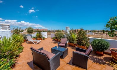 Obra nueva - Villa -
Los Alcazares - Los Alcázares