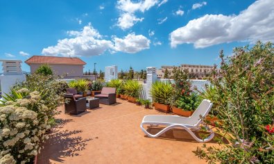 Obra nueva - Villa -
Los Alcazares - Los Alcázares