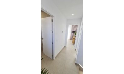 Obra nueva - Villa -
San Pedro del Pinatar - Las Esperanzas