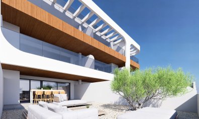 New Build - Apartment - Ground Floor -
Benijofar