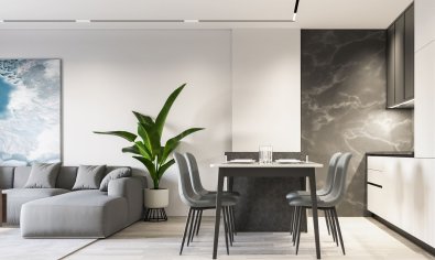 Obra nueva - Ático -
Torrevieja