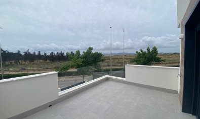 Obra nueva - Villa -
Los Alcazares - Los Alcázares