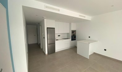 Obra nueva - Villa -
Los Alcazares - Los Alcázares