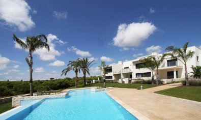 New Build - Apartment - Ground Floor -
Pinar de Campoverde
