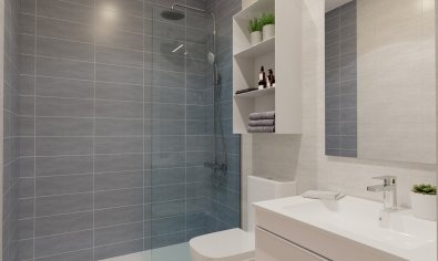 Obra nueva - Ático -
Algorfa