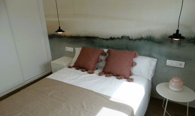 Obra nueva - Bungalow - Solarium -
Pilar de la Horadada