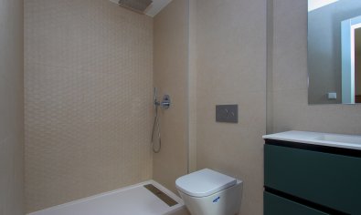 Obra nueva - terraced -
Monforte del Cid