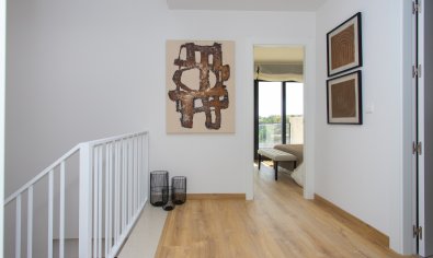 Obra nueva - terraced -
Monforte del Cid