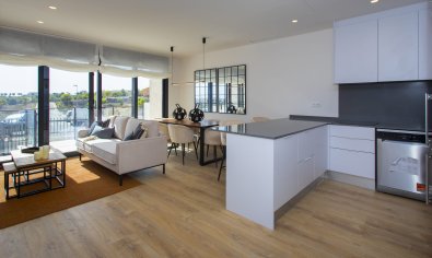 Obra nueva - terraced -
Monforte del Cid