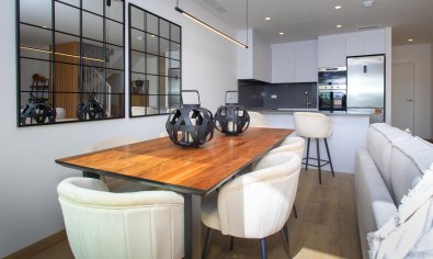 Obra nueva - terraced -
Monforte del Cid