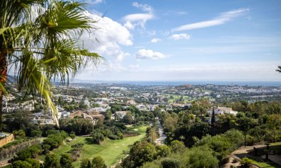 Obra nueva - Ático -
Benahavís