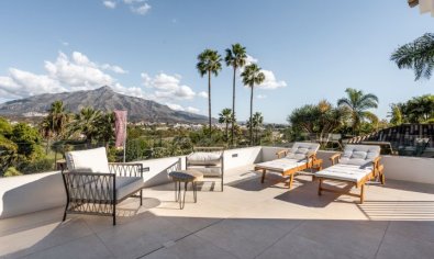 Obra nueva - Villa -
Marbella