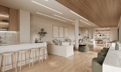 Obra nueva - ground-floor -
Casares Costa