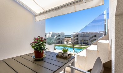 Bestaande bouw - Appartement -
Guardamar del Segura - El Raso