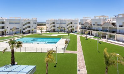 Bestaande bouw - Appartement -
Guardamar del Segura - El Raso