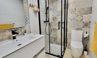 Bestaande bouw - Herenhuis -
San Miguel de Salinas