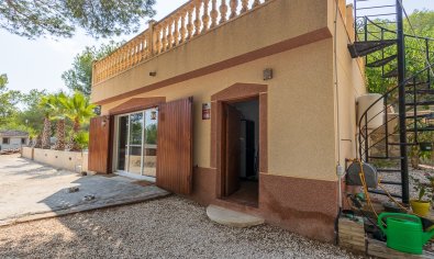 Resale - Finca -
Torremendo