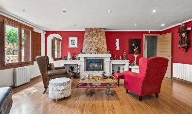 Resale - Finca -
Torremendo