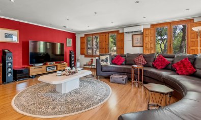 Resale - Finca -
Torremendo