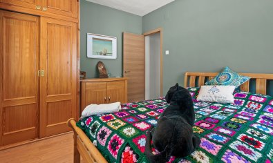 Resale - Finca -
Torremendo