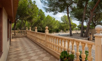 Resale - Finca -
Torremendo