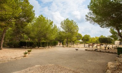 Resale - Finca -
Torremendo