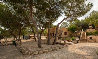 Resale - Finca -
Torremendo
