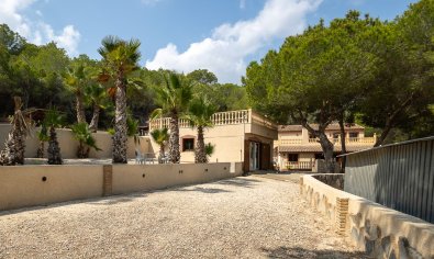 Resale - Finca -
Torremendo