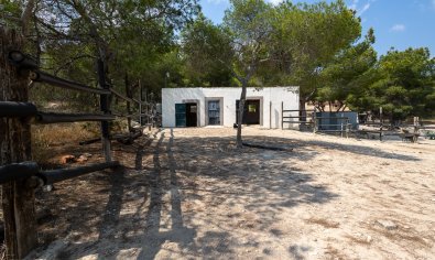 Resale - Finca -
Torremendo