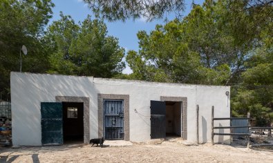 Resale - Finca -
Torremendo