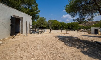 Resale - Finca -
Torremendo