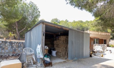 Resale - Finca -
Torremendo