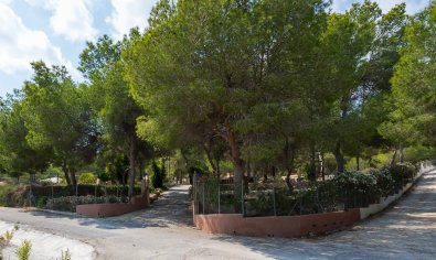 Resale - Finca -
Torremendo