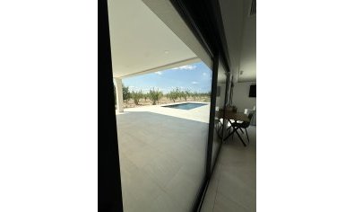 Obra nueva - Villa -
Pinoso