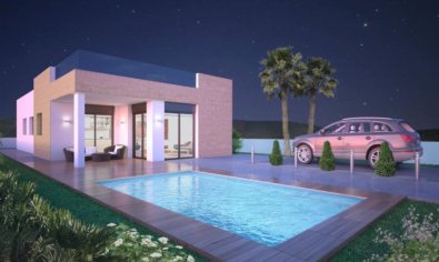 Obra nueva - Villa -
Pinoso