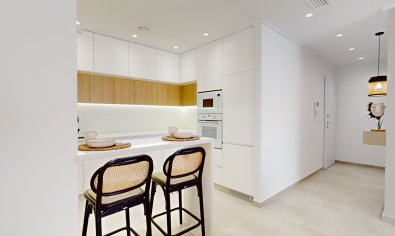 New Build - ground-floor -
Guardamar del Segura - Guardamar Del Segura