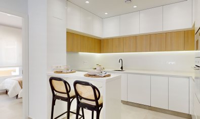 New Build - ground-floor -
Guardamar del Segura - Guardamar Del Segura