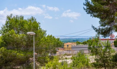 Luxe villa met privézwembad en tuin in Vistabella, nabij Jacarilla, Costa Blanca