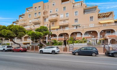 Bestaande bouw - Appartement -
Torrevieja - Punta Prima